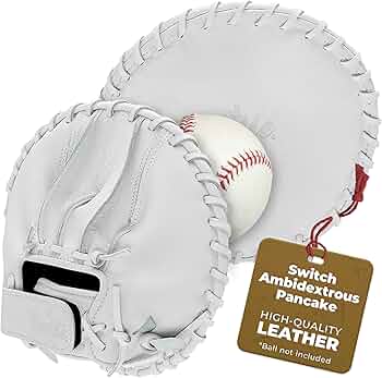 81qJt-8+nGL._AC_UF350,